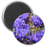 Katherine Hodgkin Irises Purple Spring Floral Magnet
