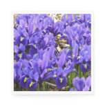 Katherine Hodgkin Irises Purple Spring Floral Napkins