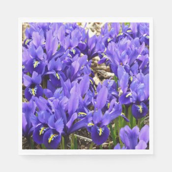Katherine Hodgkin Irises Purple Spring Floral Napkins by mlewallpapers at Zazzle