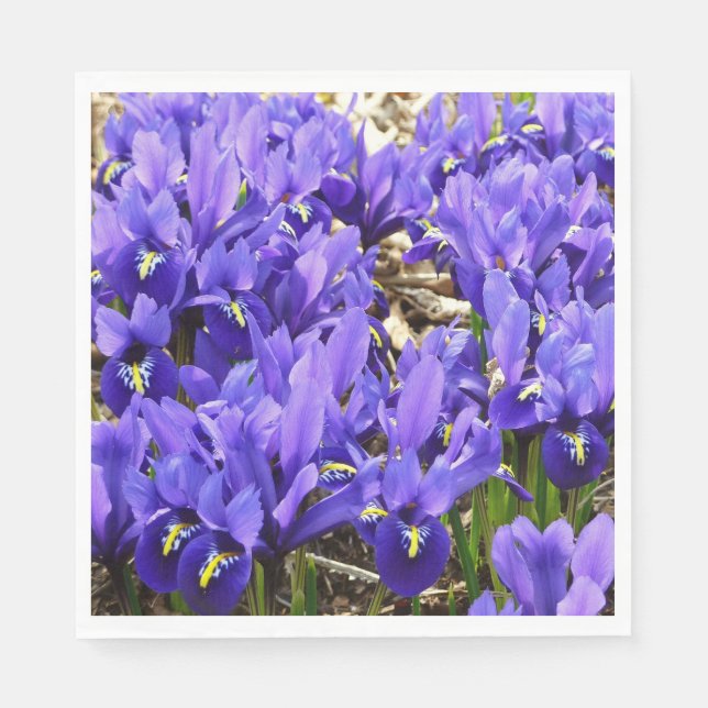 Katherine Hodgkin Irises Purple Spring Floral Napkins (Front)