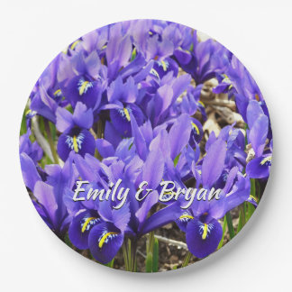 Katherine Hodgkin Irises Purple Spring Floral Paper Plates