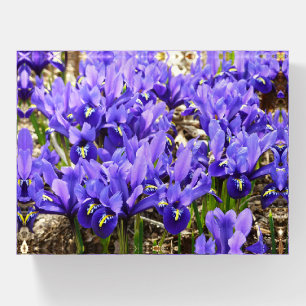 Katherine Hodgkin Irises Purple Spring Floral Paperweight