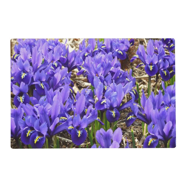 Katherine Hodgkin Irises Purple Spring Floral Placemat (Front)