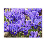 Katherine Hodgkin Irises Purple Spring Floral Postcard