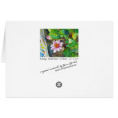 "Kathy's Waterlilies" Cards (Back Horizontal)