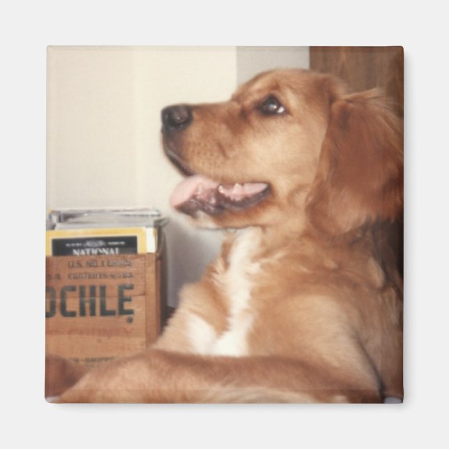 Katie Magnet (Front)