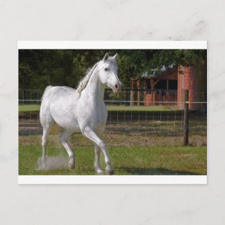 Katie Running Postcard