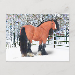 "Katie Scarlett" Postcard