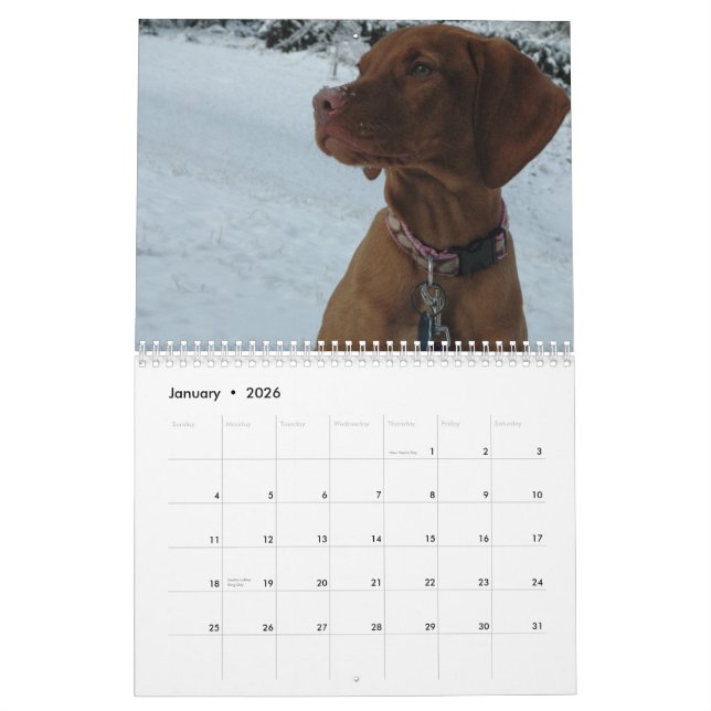 Katie Vizsla 2012 Calendar (Jan 2026)