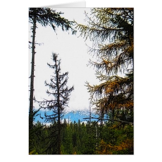 Katka Mountain (Front)