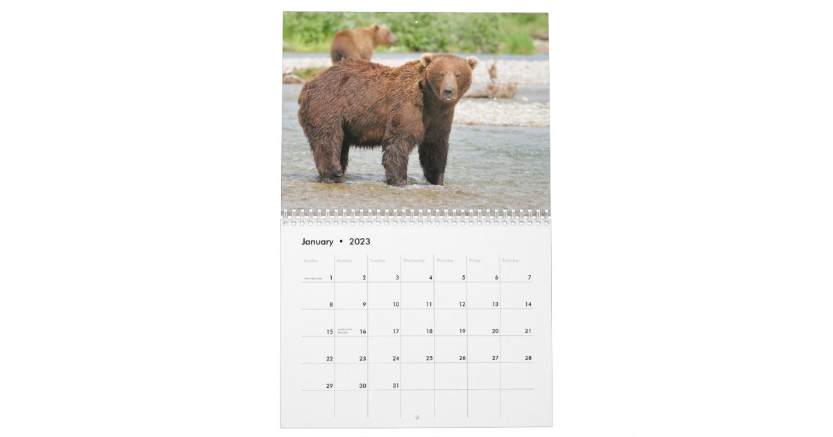 Katmai Bears Calendar Zazzle