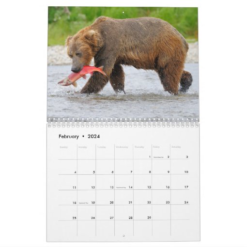 Katmai Bears Calendar Zazzle