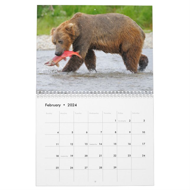 Official Chicago Cubs Calendars, Cubs Desk Calendars, Wall Calendars