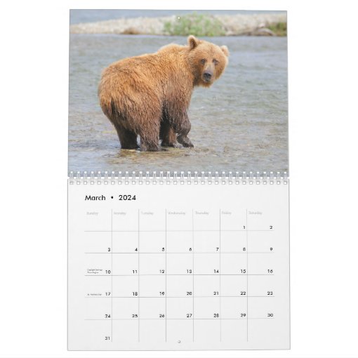 Katmai Bears Calendar Zazzle