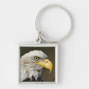Katmai National Park, Alaska Keychain