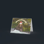 Katmai's Bear 856 Christmas Greeting Card<br><div class="desc">Katmai National Park's Bear 856 is one of the grouchiest,  most dominant bears on the river. And he has the worst table manners. So I put a Santa hat on him and made him an emissary for holiday cheer. He does a pretty good job.</div>