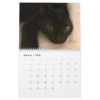 Katniss &amp; Joakim Black Cats 2018 Calendar