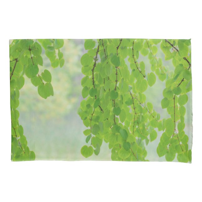 Katsura Tree Limbs in Springtime | Seabeck, WA Pillowcase (Front-Left)