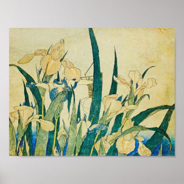 Katsushika Hokusai-Blossoming Irises and Grasshopp Poster (Front)