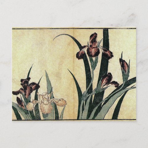 Katsushika Hokusais Ukiyo_e Woodcut Print Irises Postcard