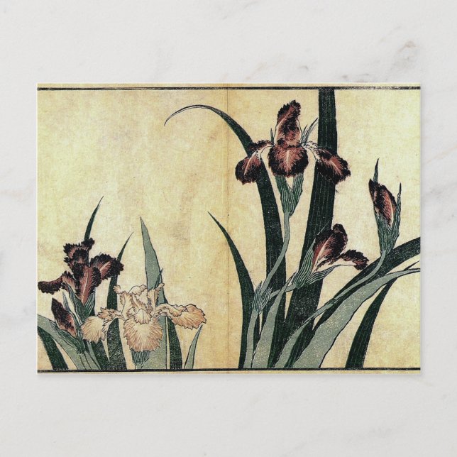 Katsushika Hokusai's Ukiyo-e Woodcut Print: Irises Postcard (Front)