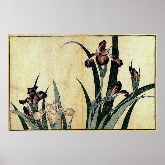 Katsushika Hokusai's Ukiyo-e Woodcut Print: Irises Poster (Front)