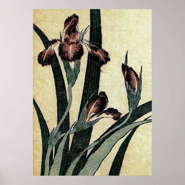 Katsushika Hokusai's Ukiyo-e Woodcut Print: Irises Poster (Front)