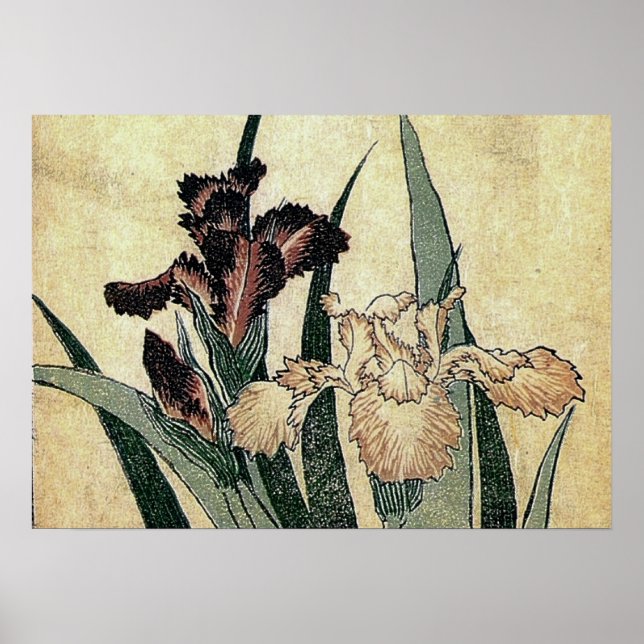 Katsushika Hokusai's Ukiyo-e Woodcut Print: Irises Poster (Front)