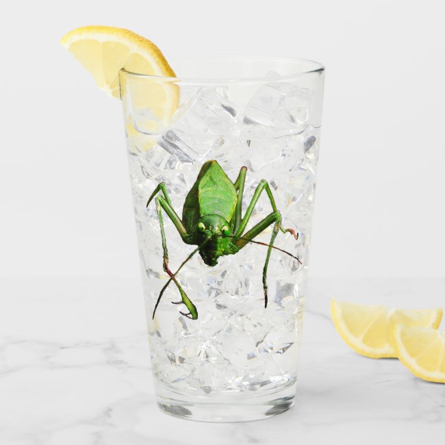 Katydid Animal Nature Glass Tumbler