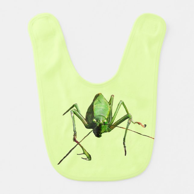 Katydid Baby Bib (Front)