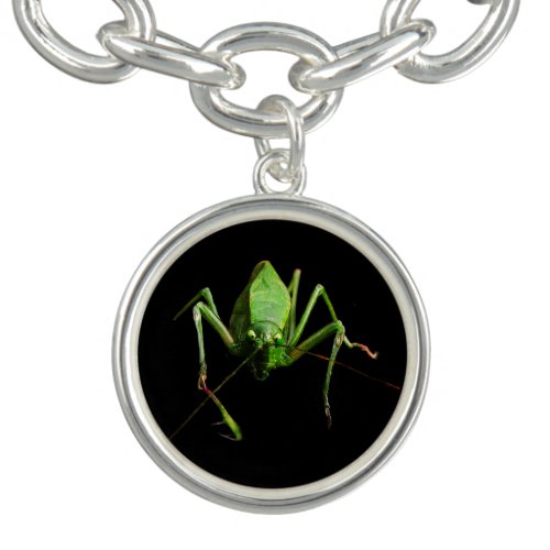 Katydid Bracelet