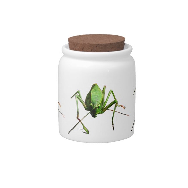 Katydid Candy Jar (Front)