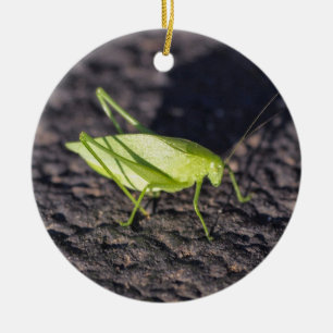 Katydid Ceramic Ornament