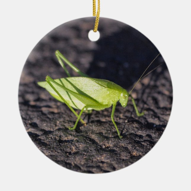 Katydid Ceramic Ornament (Front)