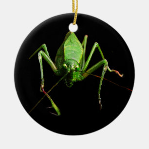 Katydid Ceramic Ornament