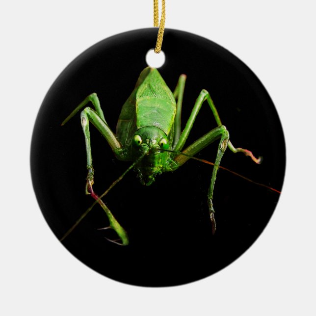 Katydid Ceramic Ornament (Front)