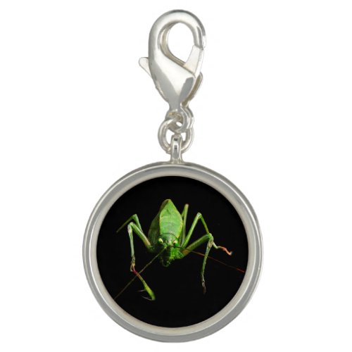 Katydid Charm