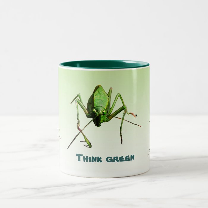 Katydid Earth Day Mugs