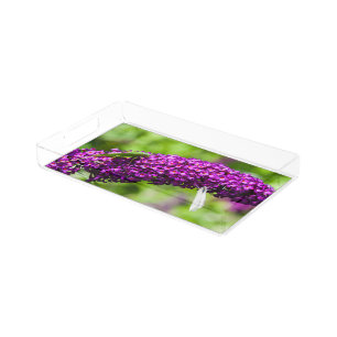 katydid energy acrylic tray