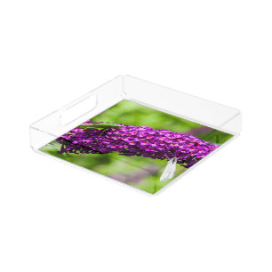 katydid energy acrylic tray