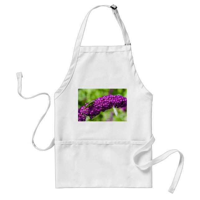 katydid energy adult apron (Front)