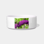 katydid energy bowl<br><div class="desc">katydid,  the common sulphur butterfly and the japanese beetle,  gather on blooming flowers of the butterfly bush plant</div>