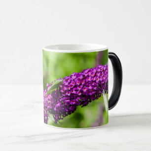 katydid energy color morph mug
