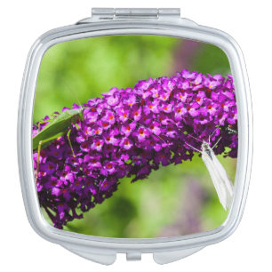 katydid energy compact mirror
