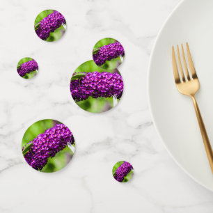 katydid energy confetti