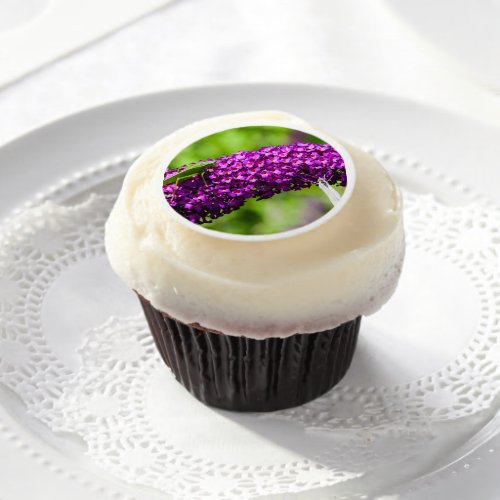 katydid energy edible frosting rounds