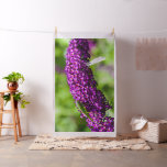 katydid energy fabric