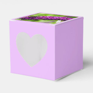 katydid energy favor box