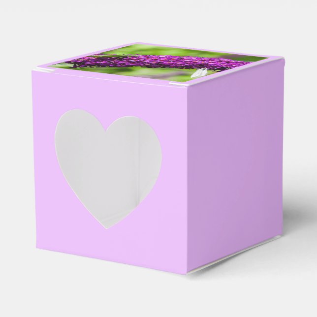 katydid energy favor box (Front Side)