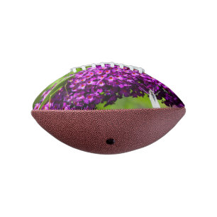 katydid energy football